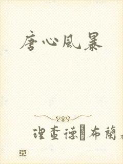 唐心风暴
