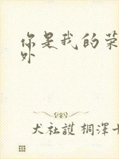 你是我的荣耀番外