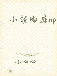 小说肉糜np