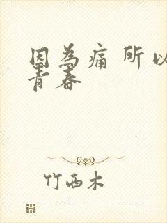 因为痛 所以叫青春