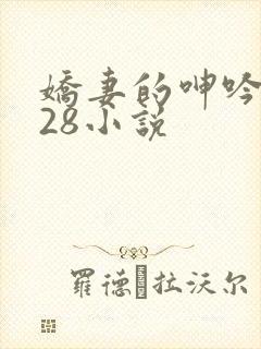 娇妻的呻吟1—28小说