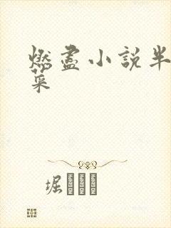 燃尽小说半截白菜