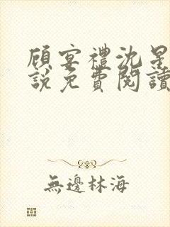 顾宴礼沈星洛小说免费阅读最新章节