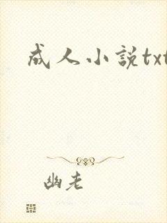 成人小说txt
