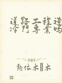 道路工程造价是冷门专业吗封面