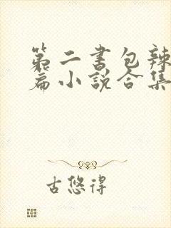 第二书包辣网短篇小说合集