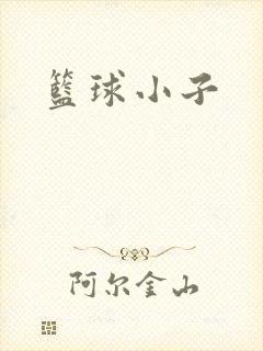 篮球小子