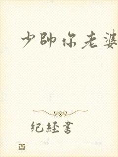 少帅你老婆