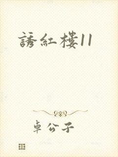 诱红楼11