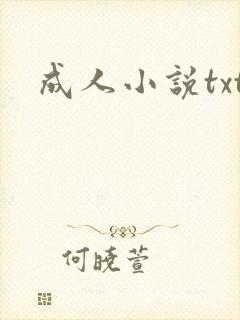 成人小说txt封面