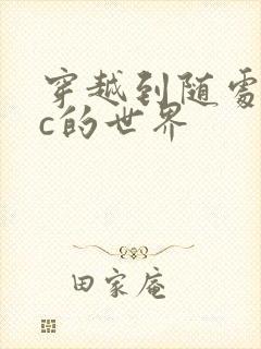 穿越到随处可以c的世界