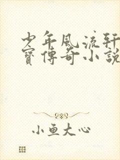 少年风流轩辕大宝传奇小说封面