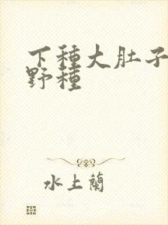 下种大肚子怀孕野种封面