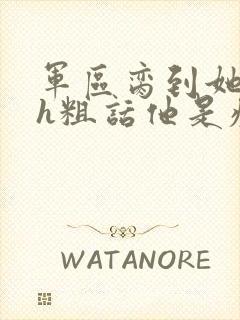 军区脔到她哭hh粗话他是疯批