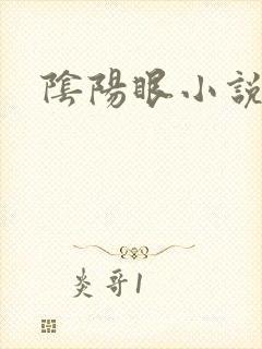 阴阳眼小说