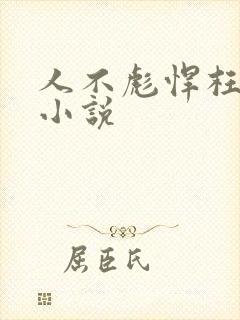 人不彪悍枉少年小说封面