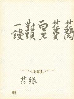 一对白花花的大馒头免费阅读封面