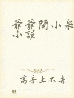 爷爷开小米的包小说