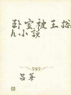 卧室被王总干高h小说