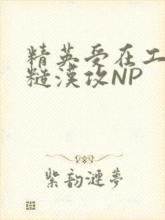 精英受在工地被糙汉攻NP封面