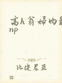 高h翁妇肉乱文np