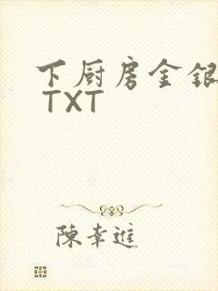 下厨房金银花露 TXT封面