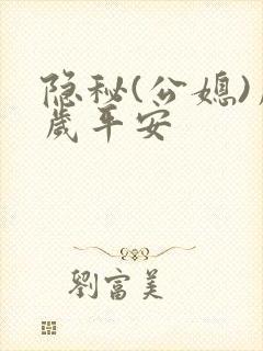 隐秘(公媳)岁岁平安封面
