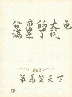 公么的大龟强大满足了我