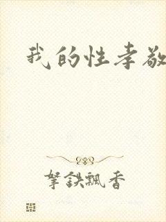 我的性孝敬