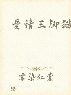 爱情三脚猫封面