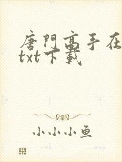 唐门高手在异世txt下载