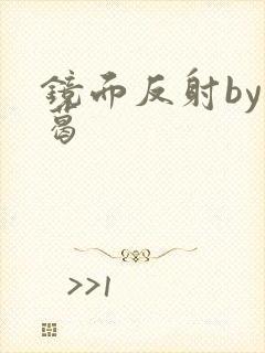 镜面反射by九葛