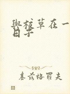 与校草在一起的日子封面