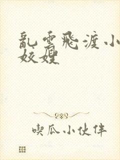 乱云飞渡小说之姣嫂