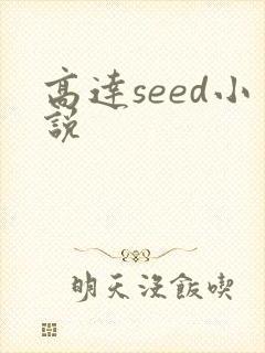 高达seed小说