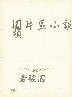 图片区小说区视频