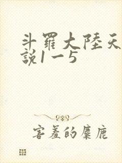 斗罗大陆天狂传说1一5