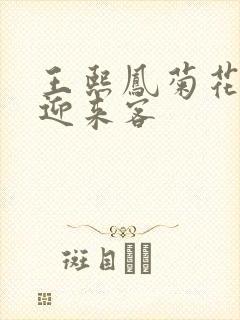 王熙凤菊花门初迎来客封面