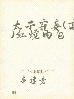 太子宠妾(高肉)红烧肉包