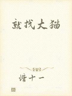 就找大猫