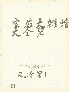 家庭大杂烩小说大全儿