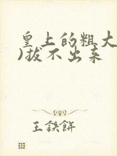 皇上的粗大(h)拔不出来