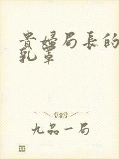 贵妇局长的蕾丝乳罩