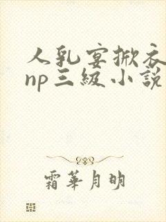 人乳宴掀衣喂乳np三级小说封面