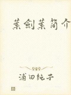 叶剑叶简介封面