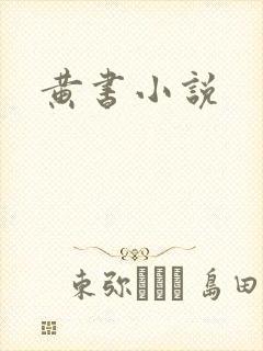 黄书小说封面