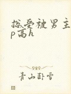 总受被男主们np高h