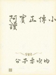 阿宾正传小说在读