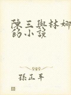 陈三与林娜林丽的小说