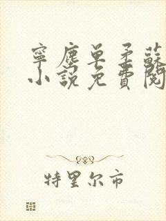 宁尘单柔苏千雪小说免费阅读最新